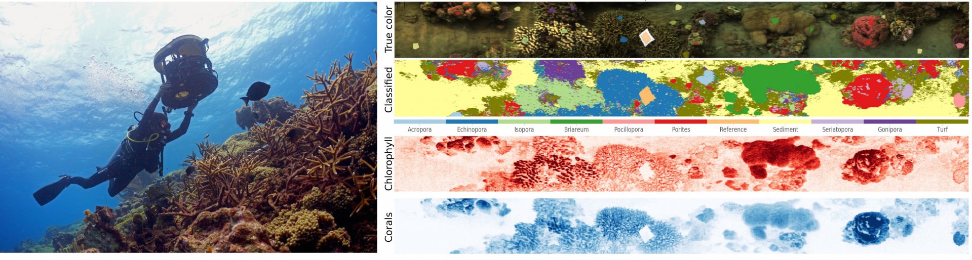 Der HyperDiver liefert Bildaufnahmen und Hyperspektralbilder eines Korallenriffs, die zur Analyse der Artenvielfalt und des Gesundheitszustandes des Riffs genutzt werden. 