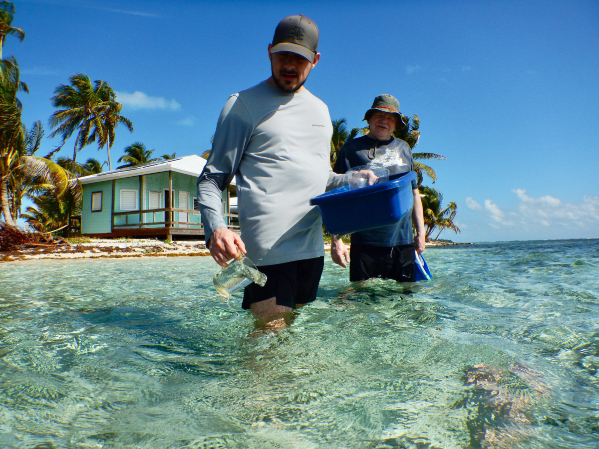 Collecting at the Carry Bow Cay Field Station in 2023 with Christer Erséus