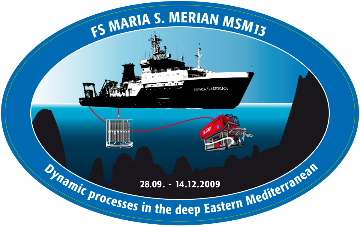 logo of MSM13