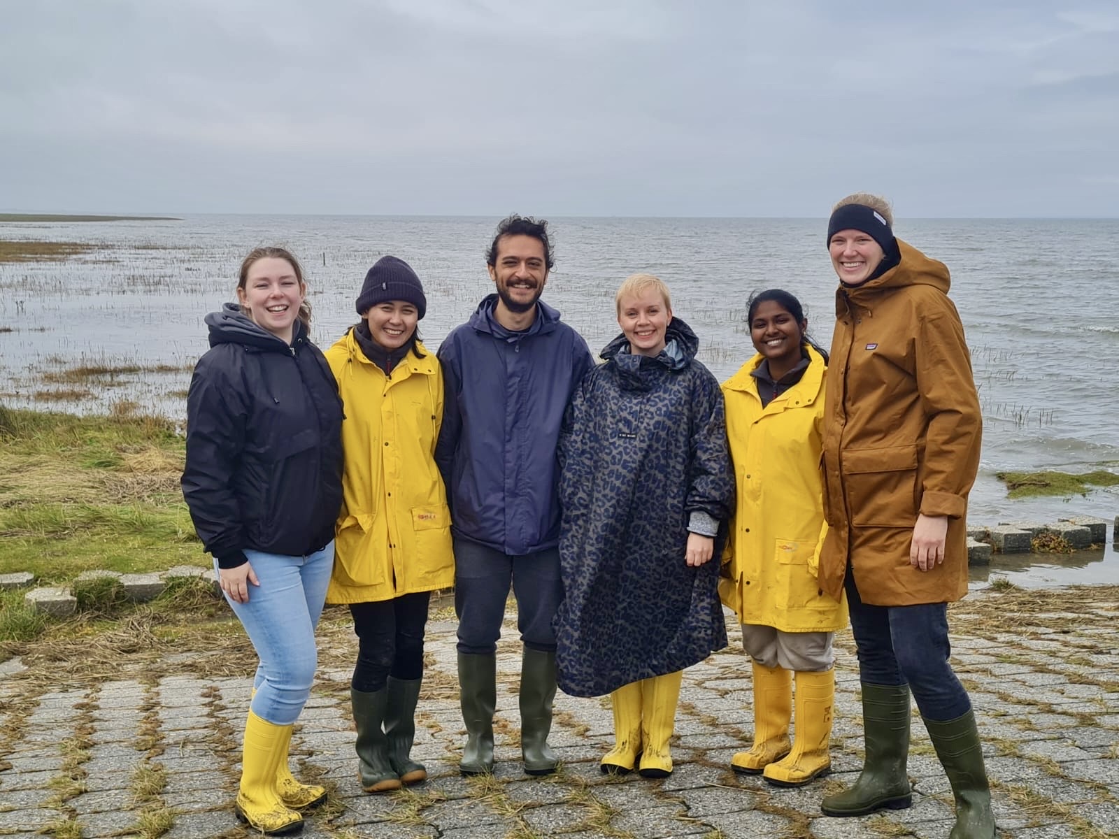 Organosulfur cycling group