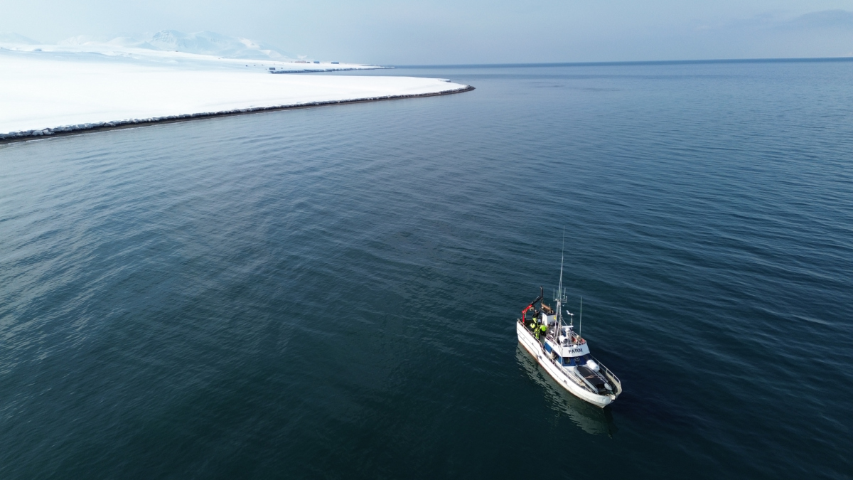 The researchers from Bremen sampling in Isfjorden on the Arctic Archipelago of Svalbard in spring 2023. (© Fanni Aspetsberger / Max Planck Institute for Marine Microbiology)