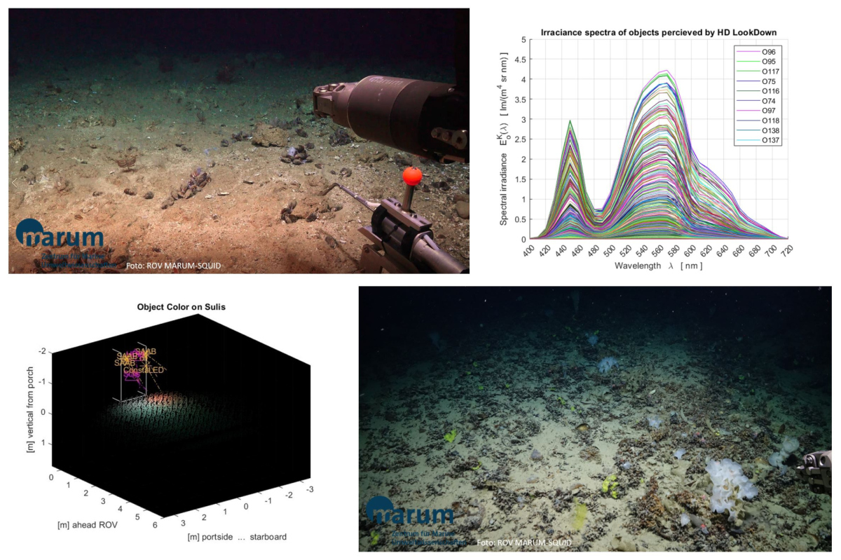 Bilder aus der Tiefsee und wissenschaftliche Grafiken