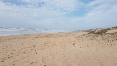 sand