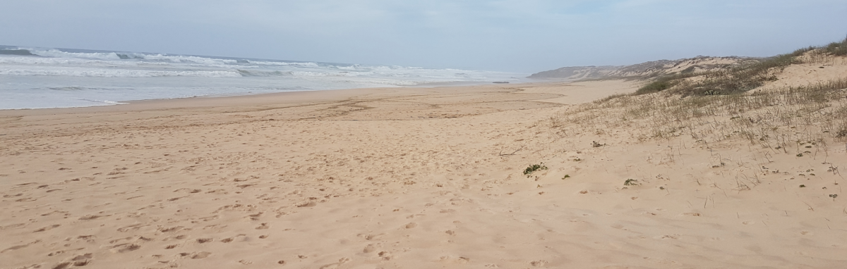 sand
