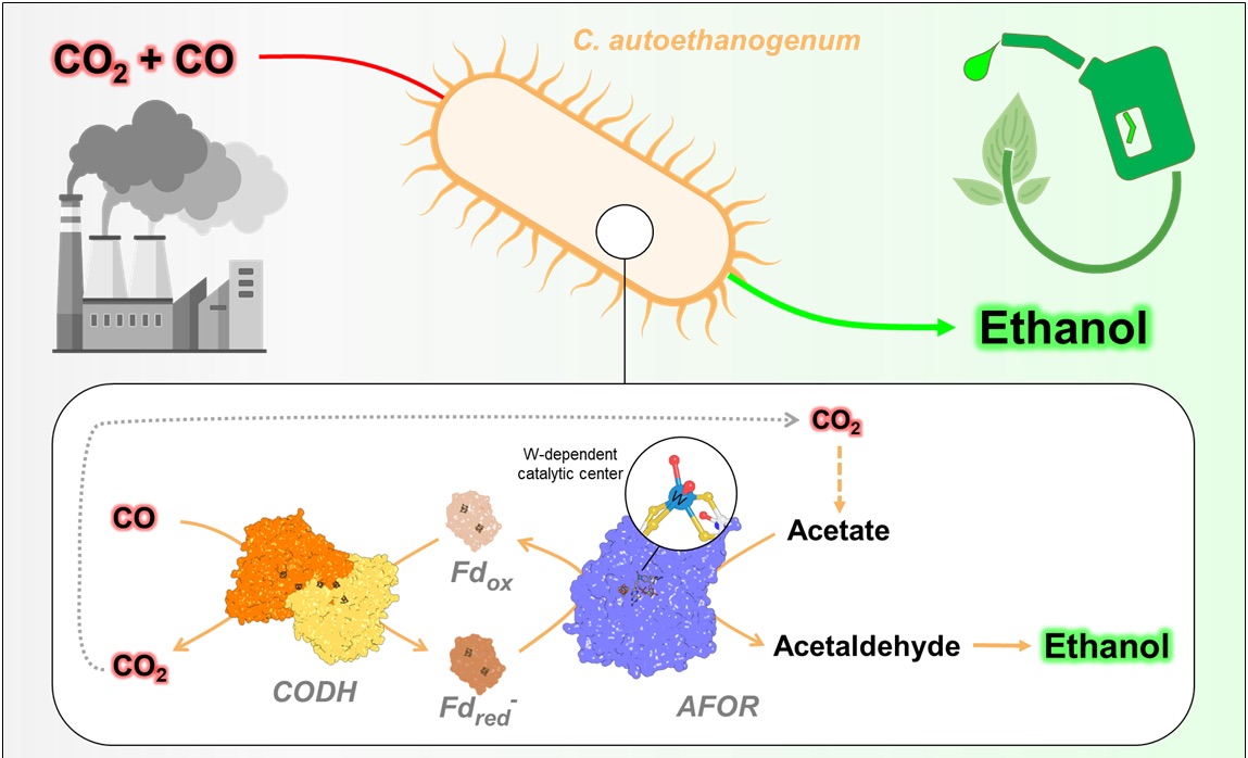 Abbildung 1 Abbildung 1