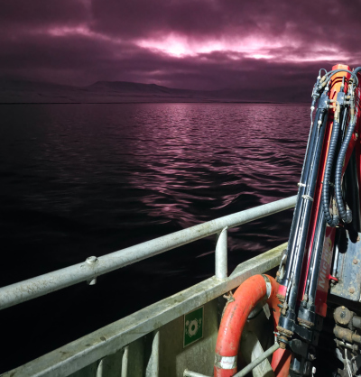 Northern Lights above Svalbard