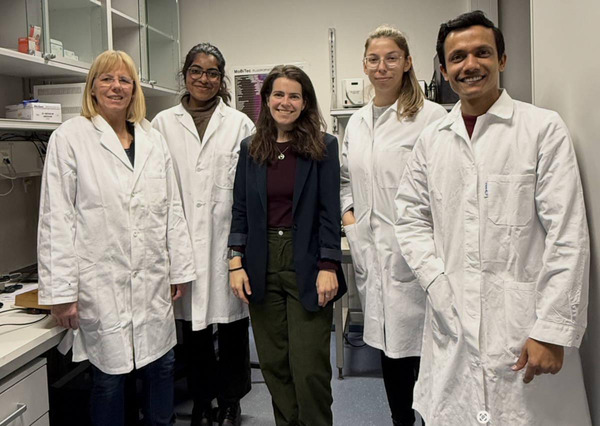 Minerva Fast Track Group