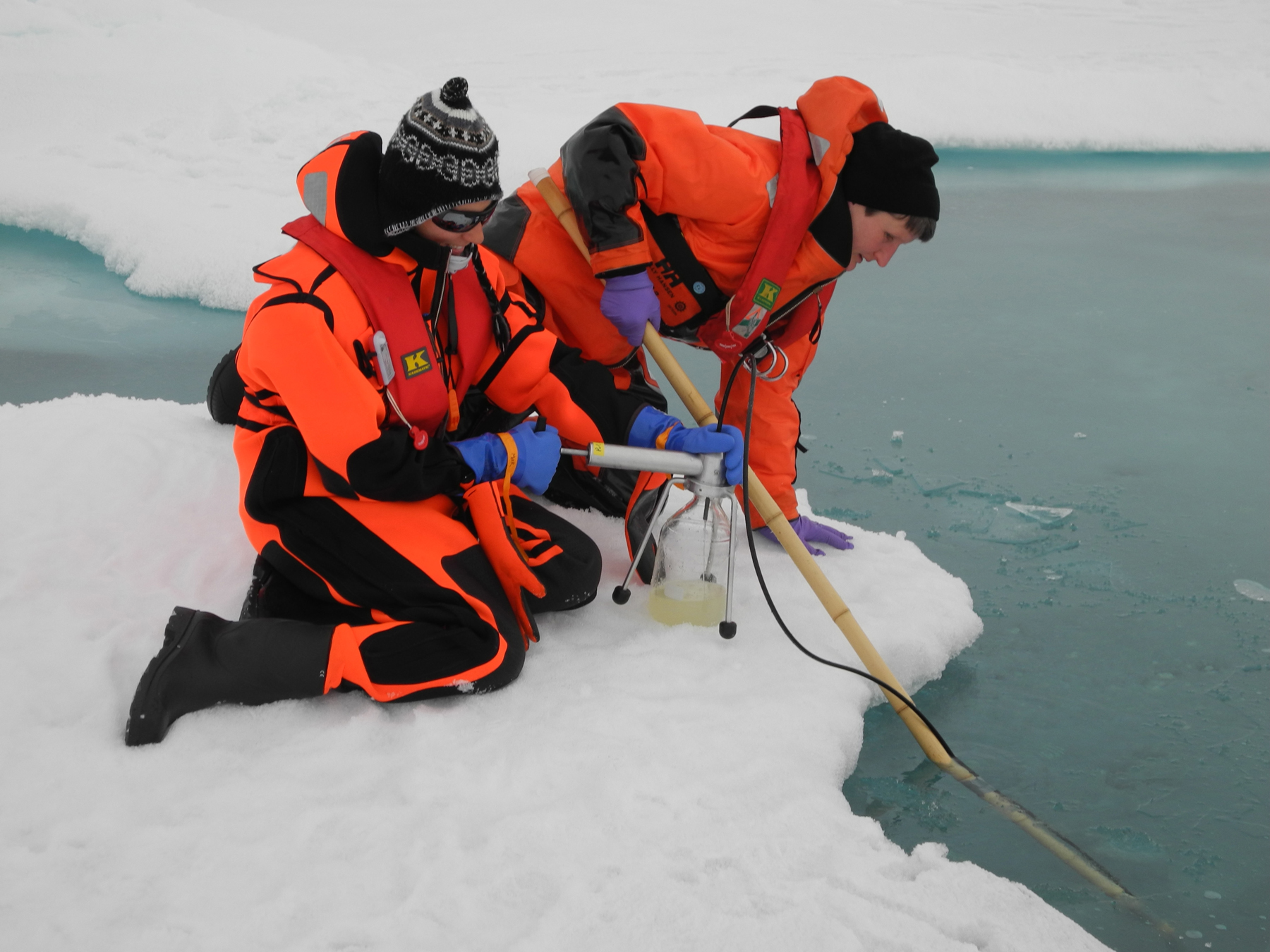 Ice may. Арктические водоросли. Арктические водоросли фото.