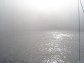 Morning fog in the Benguela Upwelling