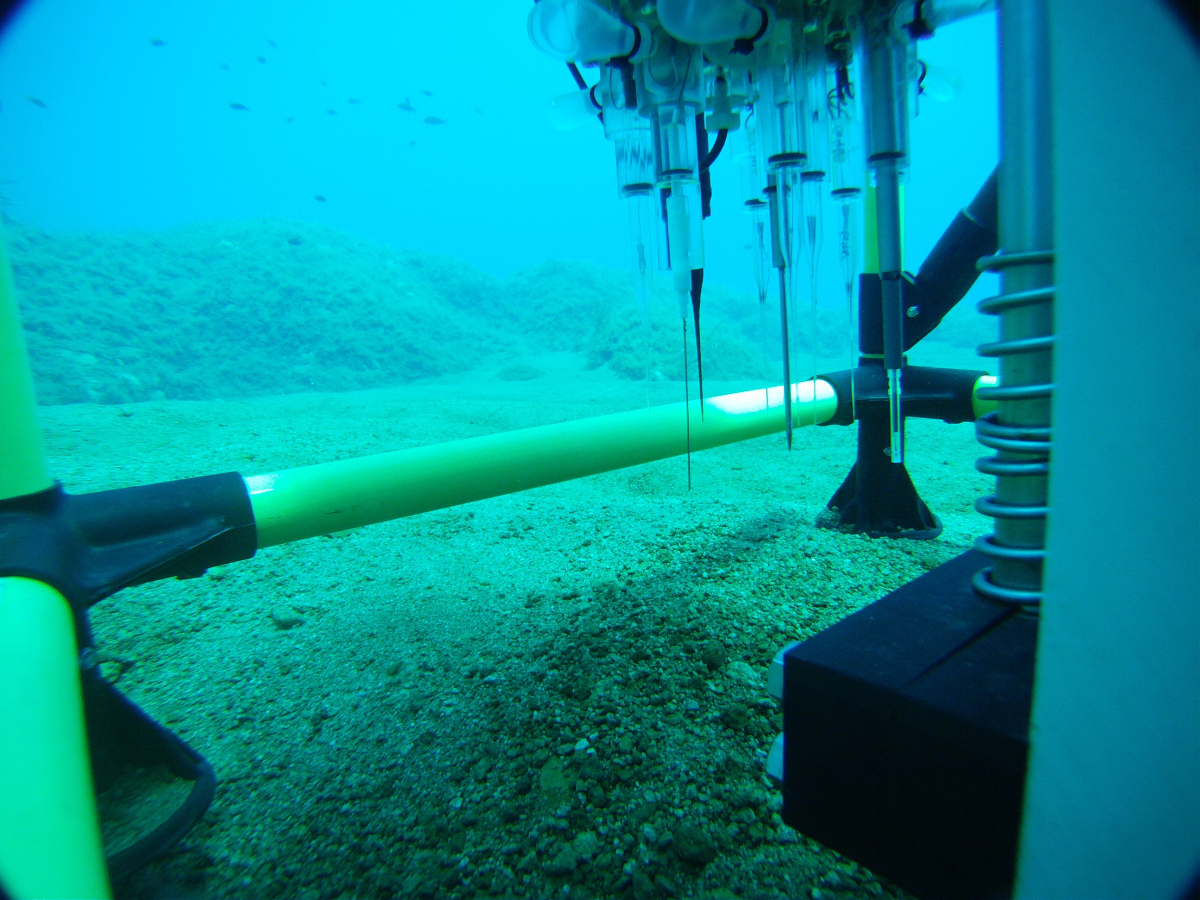 Sensors on the microprofiler. (© Max Planck Institute for Marine Microbiology / HYDRA, Ch. Lott)