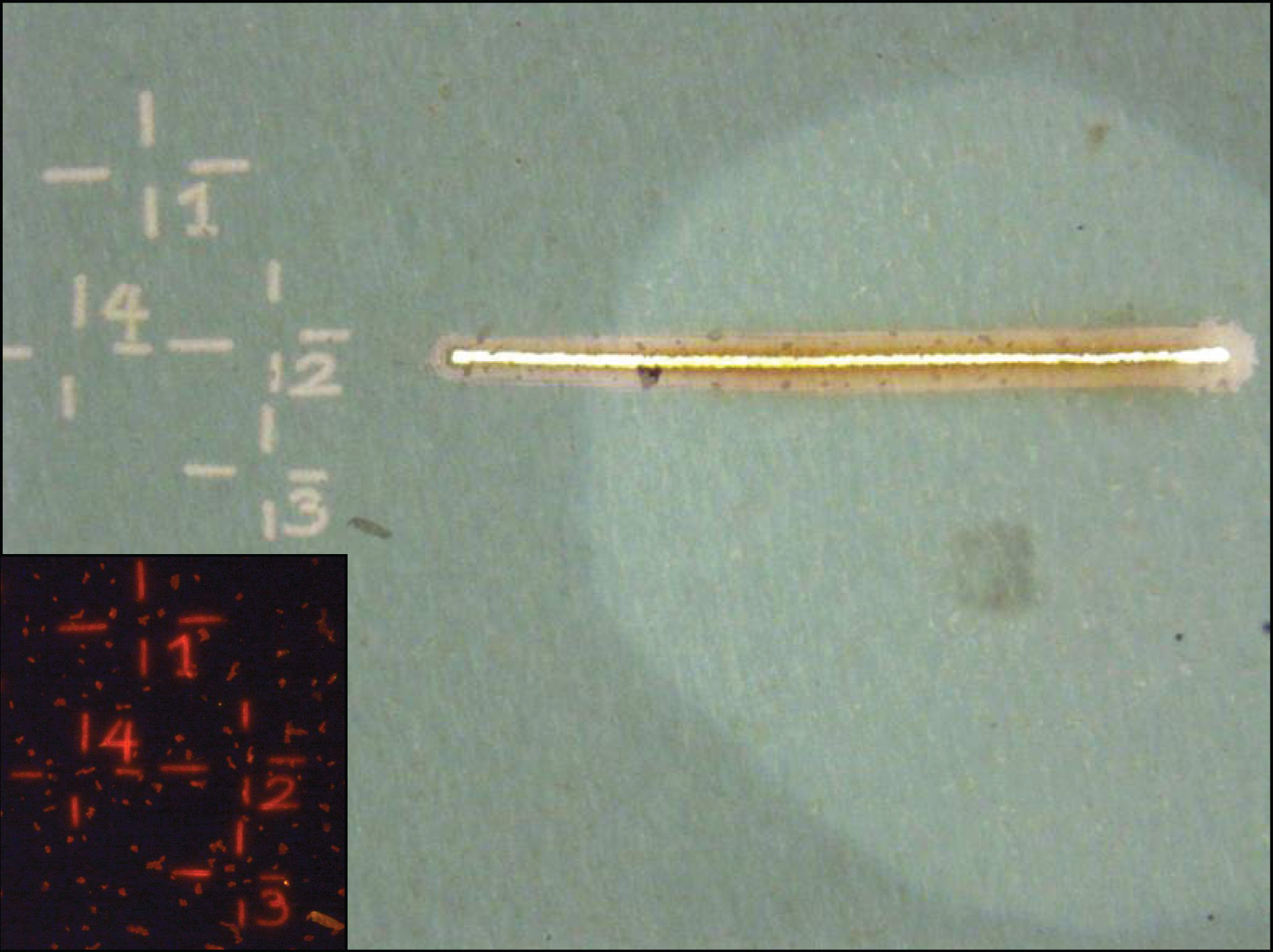 LMD marking on a polycarbonate filter (image source: Lu Lu)