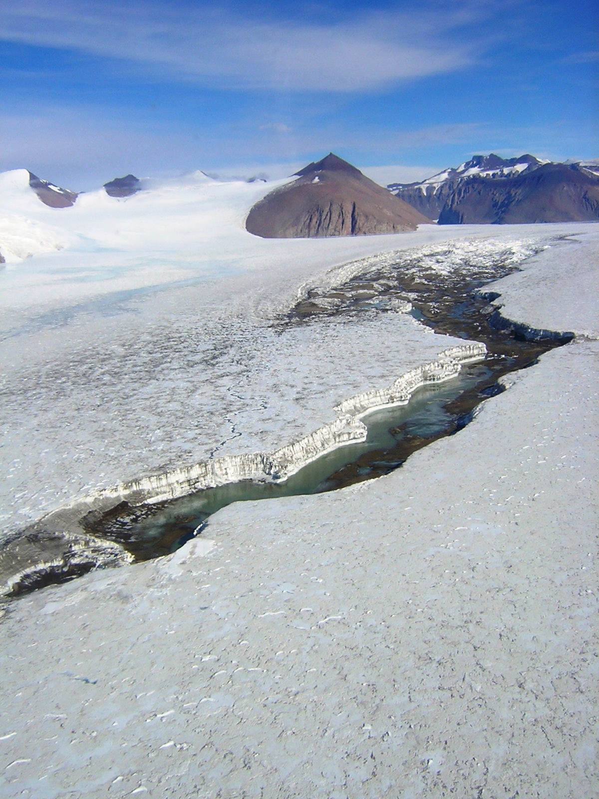 Cotton Glacier Stream (C. Foreman)