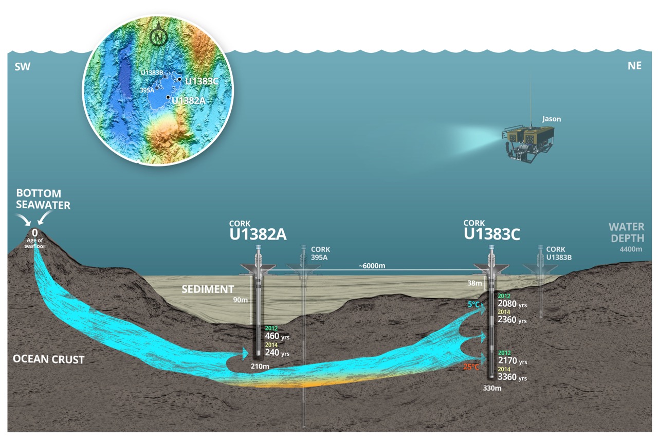 Ein Wasserkreislauf unterhalb des Meeresbodens in der vulkanischen Ozeankruste transportiert Nährstoffe zu Mikroben in der Tiefe. Abbildung: Peter Girguis and the Center For Environmental Visualization