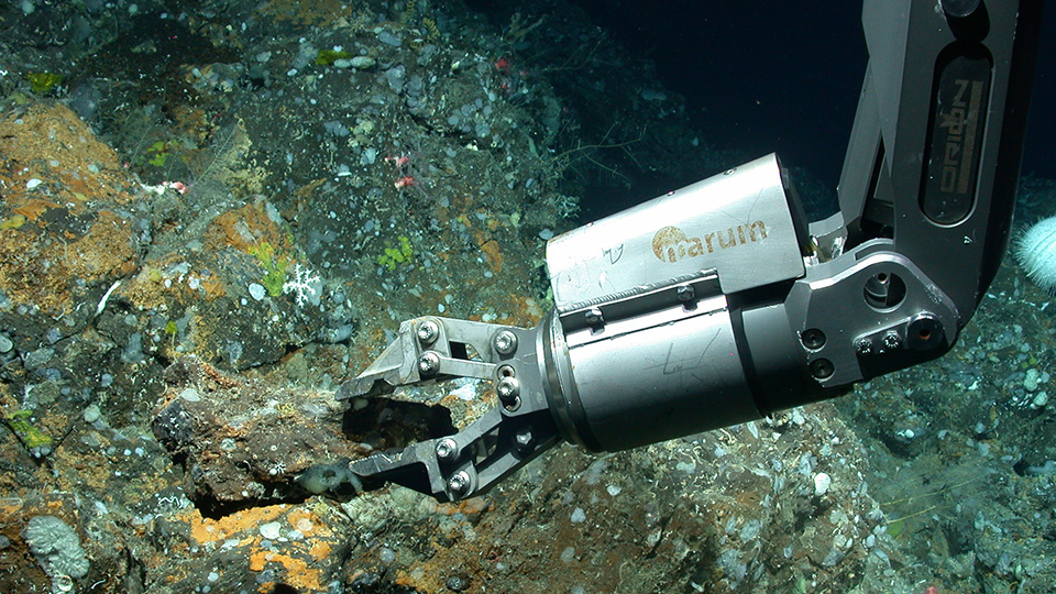 Der Greifarm des Tauchroboters MARUM-QUEST nimmt eine geologische Probe in einer Tiefe von 530 Metern nordwestlich der Azoreninsel São Miguel.