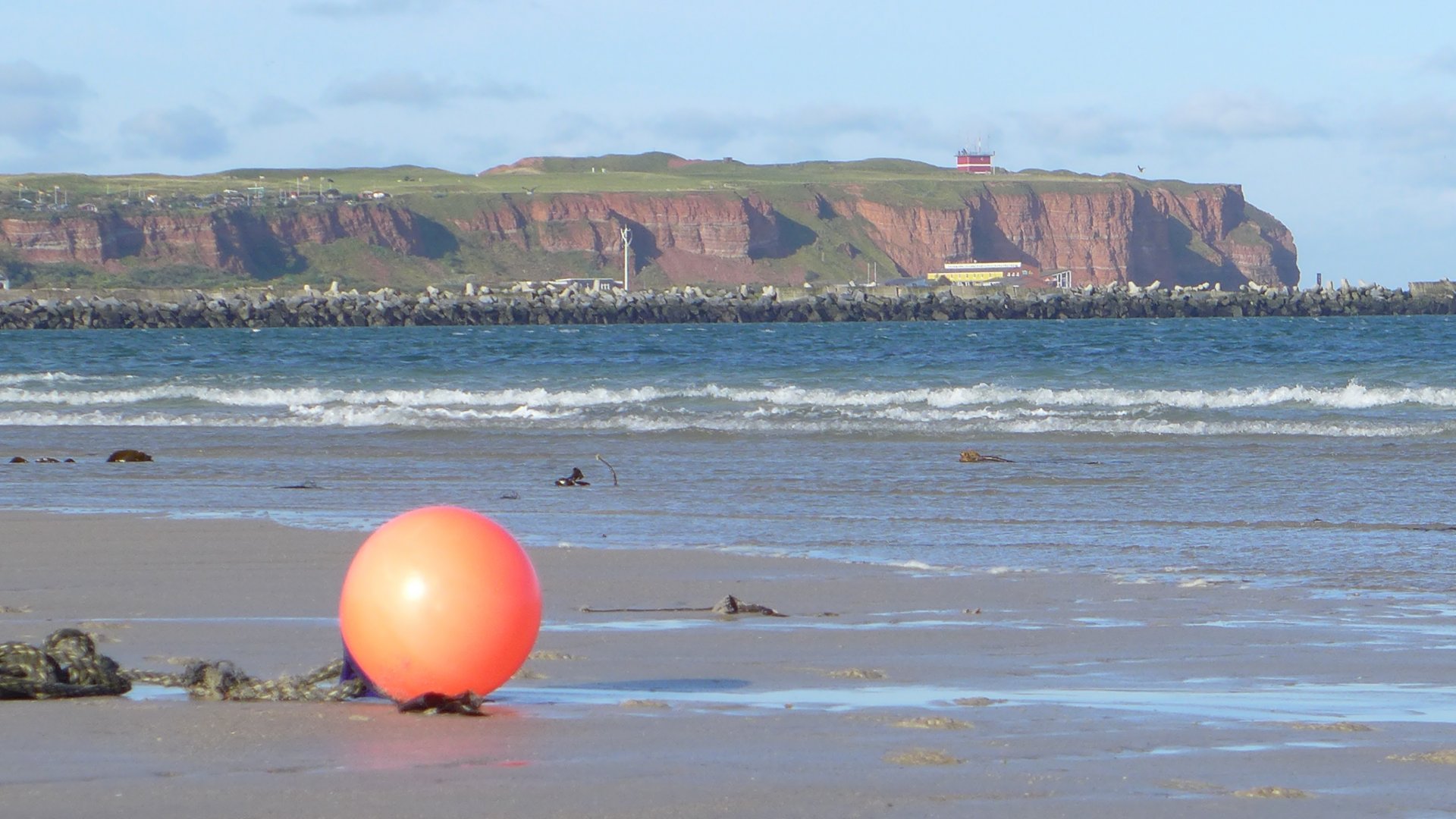 Helgoland ist Deutschlands einzige echte Hochseeinsel, bekannt eher für Seevögel, Robben und zollfreies Einkaufen als für winzige Algen. Aber was die MPI-WissenschaftlerInnen interessierte, war das Schicksal der organischen Substanz nach dem Tod der Algen. (© Max-Planck-Institut für Marine Mikrobiologie, Naomi Esken)