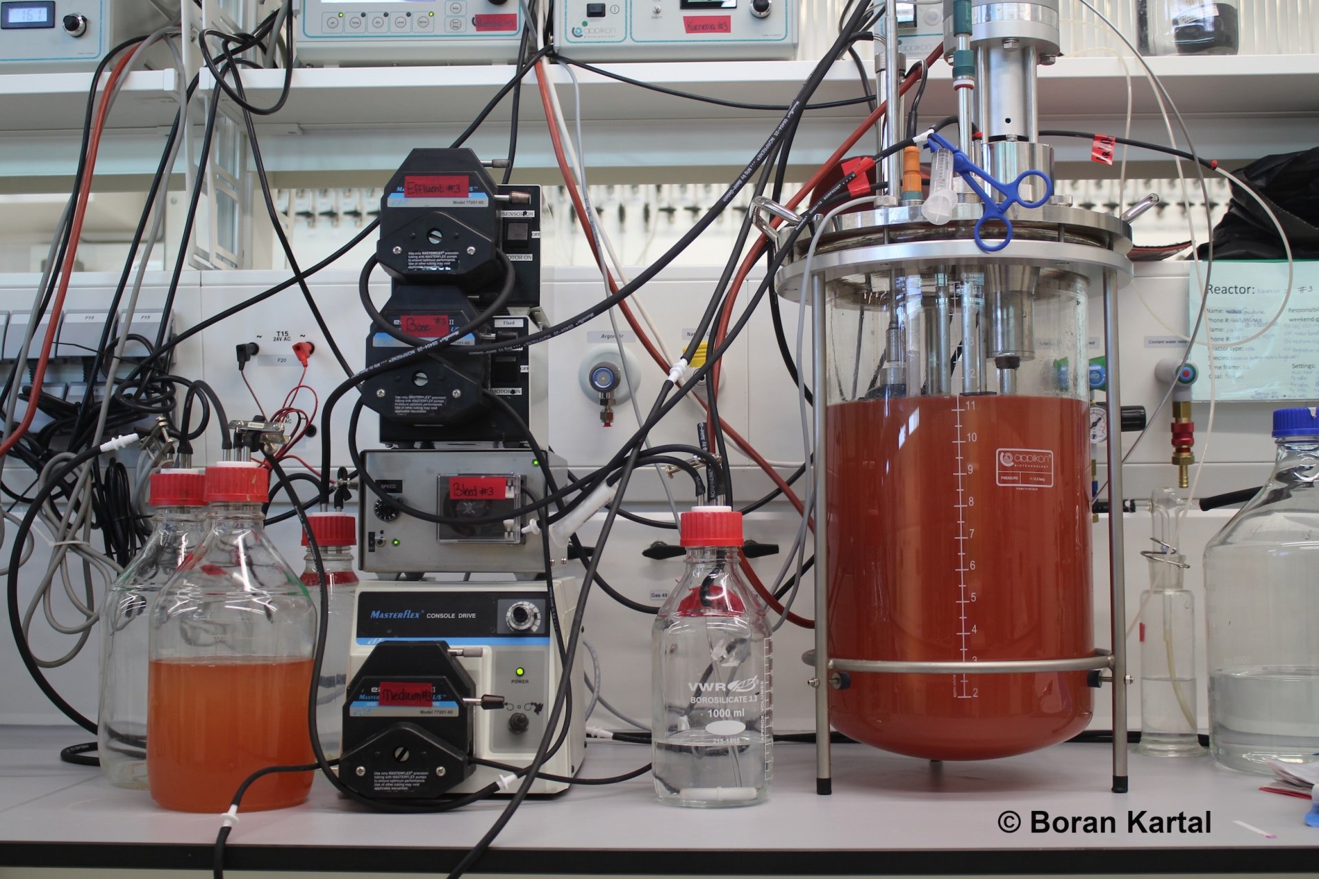 Einer der Bioreaktoren, mit denen Kartal und sein Team Zellen von K. stuttgartiensis im Labor wachsen ließen. Anammox-Bakterien sind mit diesen Proteinen voll gepackt. Dazu gehören auch die Enzyme, die wichtige Reaktionen des Anammox-Prozesses durchführen und die Zellen auffällig rot färben. (© Max-Planck-Institut für Marine Mikrobiologie, Boran Kartal )