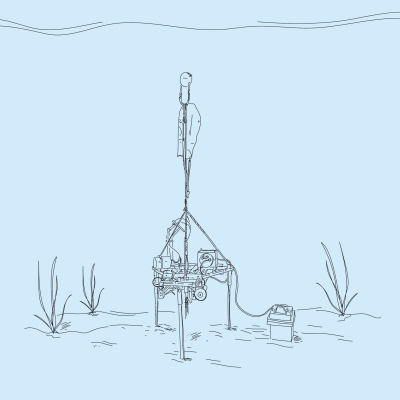 Unter Wasser (© Max-Planck-Institut für Marine Mikrobiologie, A. Esken) Unter Wasser (© Max-Planck-Institut für Marine Mikrobiologie, A. Esken)