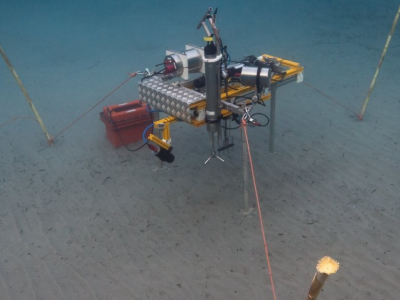 Lance-A-lot © Max-Planck-Institut für Marine Mikrobiologie, S. Ahmerkamp Lance-A-lot © Max-Planck-Institut für Marine Mikrobiologie, S. Ahmerkamp