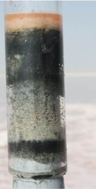 Core from the sabkha, showing the salt layer, the pigmented area above bölack sediment, and the sand layer.