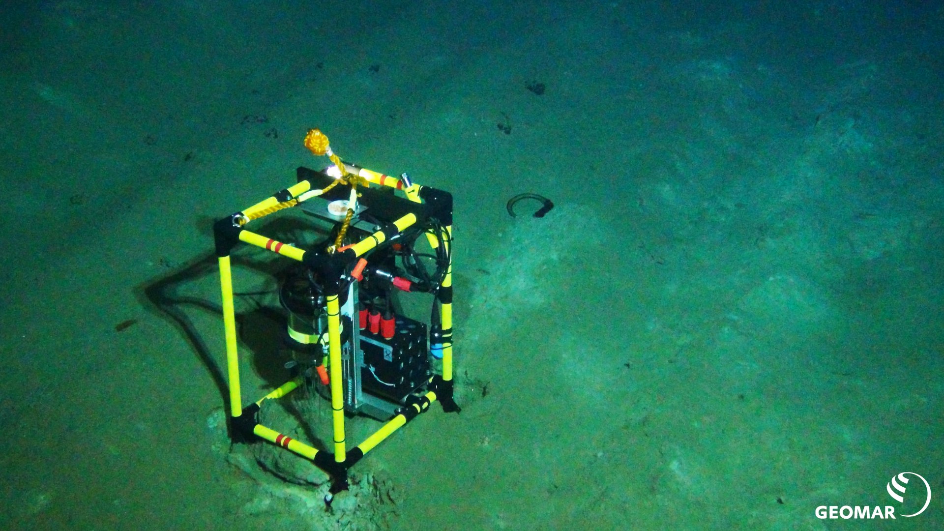 Respirationsmessungen direkt neben einer Pflugspur als Maß für die Aktivität der Mikroben im Meeresboden im DISCOL-Gebiet während der Expedition SO242. (Quelle: ROV-Team/GEOMAR)
