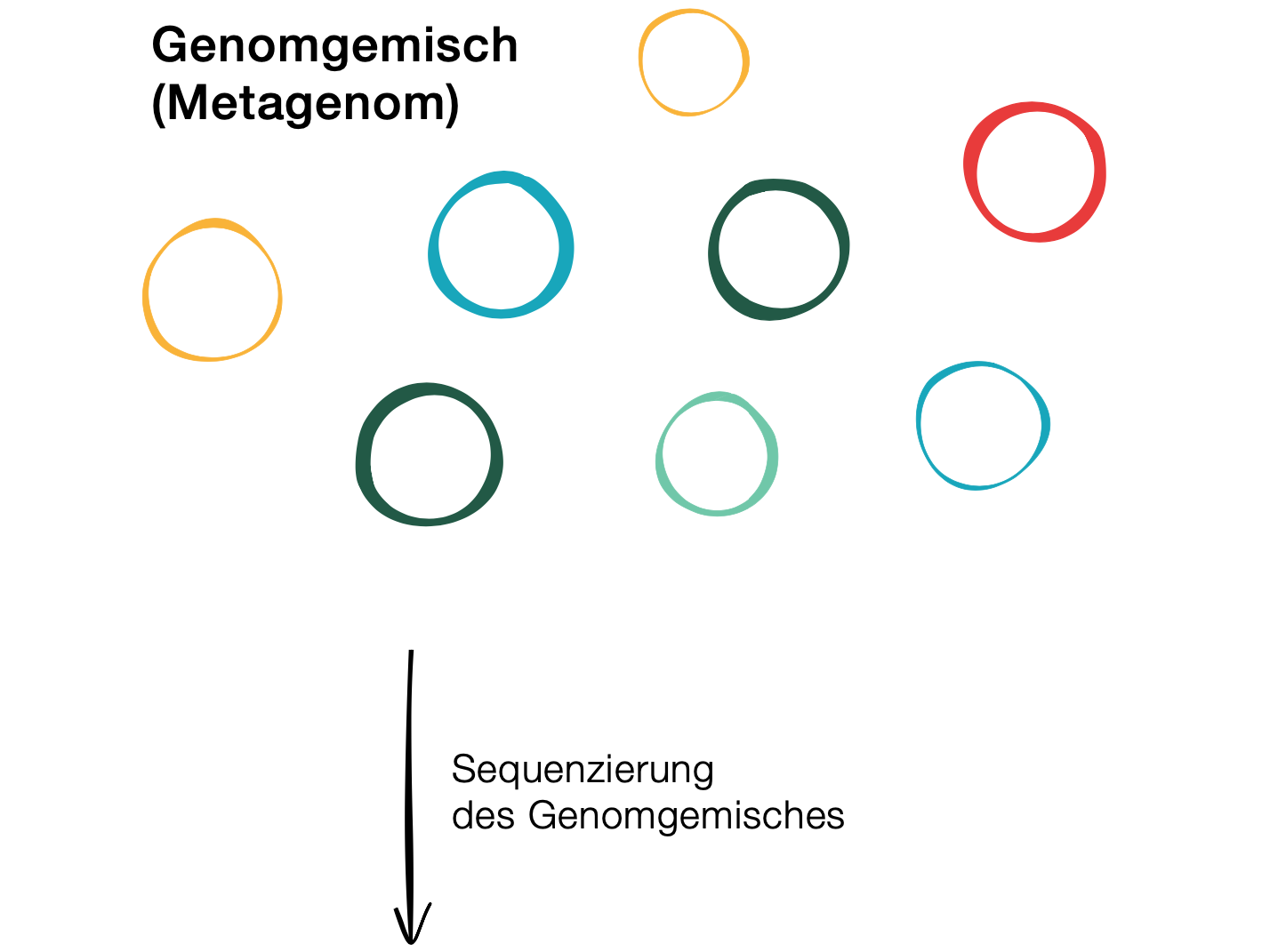 Part of metagenomics (© Max Planck Institute for Marine Microbiology, A. Esken)