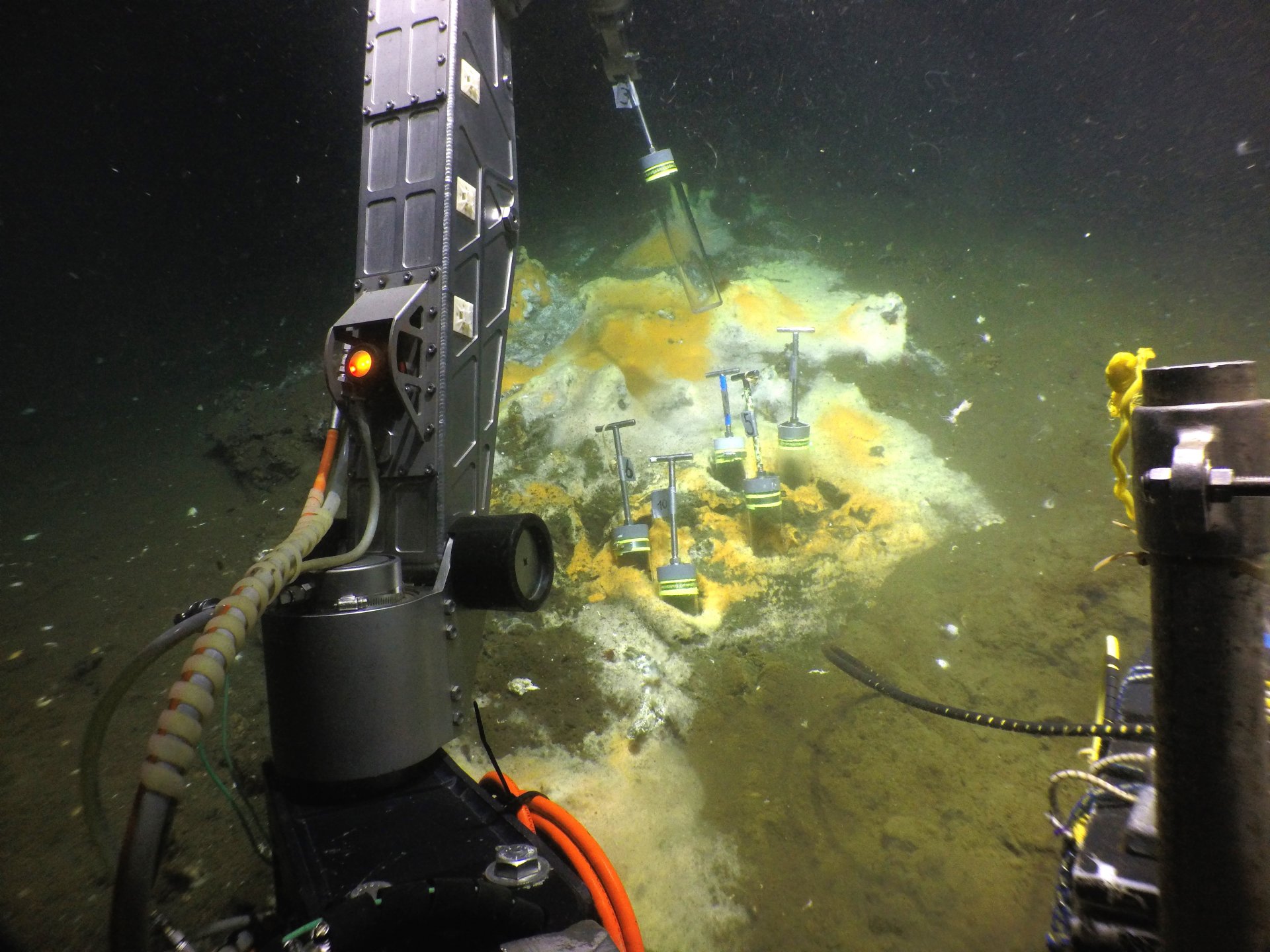 Tauchgang im Golf von Mexiko: Mit dem Tauchboot ALVIN konnten die Bremer Forscher den Meeresboden erreichen. Dort nutzen sie ALVINs Greifarm, um Sedimentkerne aus dem Meeresboden zu sammeln. Weißlich-orange gefärbte mikrobielle Matten aus schwefeloxidiere