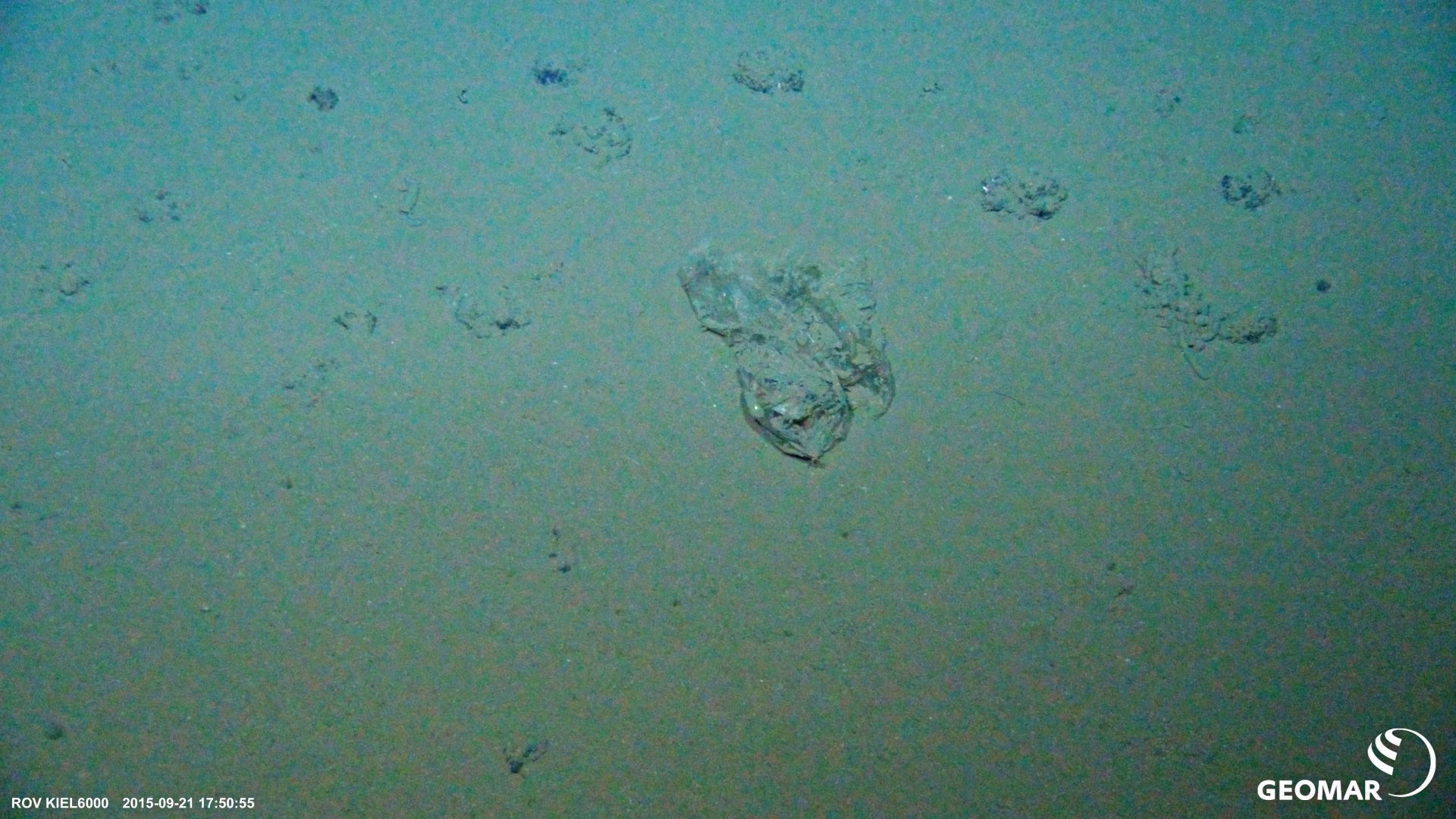 Plastiktüte am Meeresboden des DISCOL-Gebietes aus Sicht des Tiefseeroboters ROV Kiel 6000 (© GEOMAR, Matthias Haeckel)