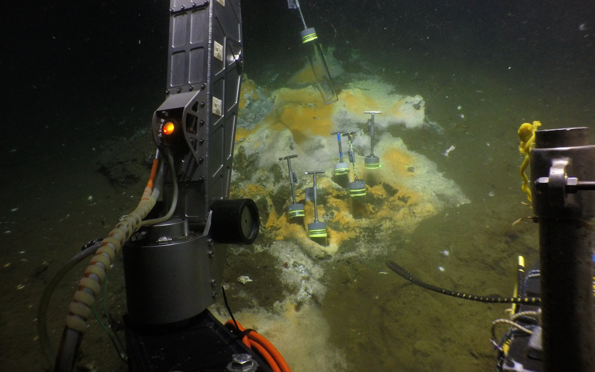 Diving in the Gulf of California: With the submersible ALVIN, the researchers from Bremen were able to reach the seafloor. There they used ALVIN's grab arm to collect sediment cores from the seabed. White-orange coloured microbial mats made of sulfur-oxidizing bacteria indicate hot vents, where particularly large amounts of methane and other energy-rich compounds are released. (© Woods Hole Oceanographic Institution)