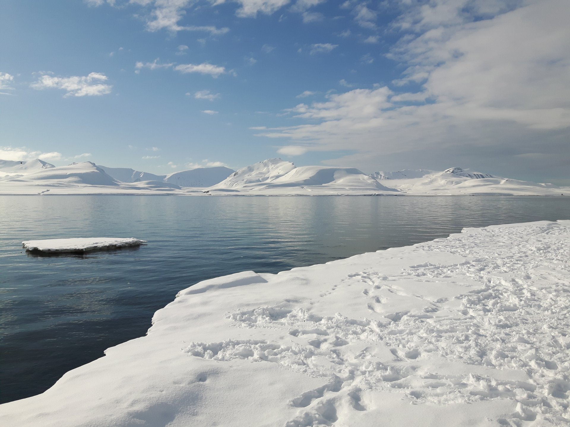 Svalbard sampling area