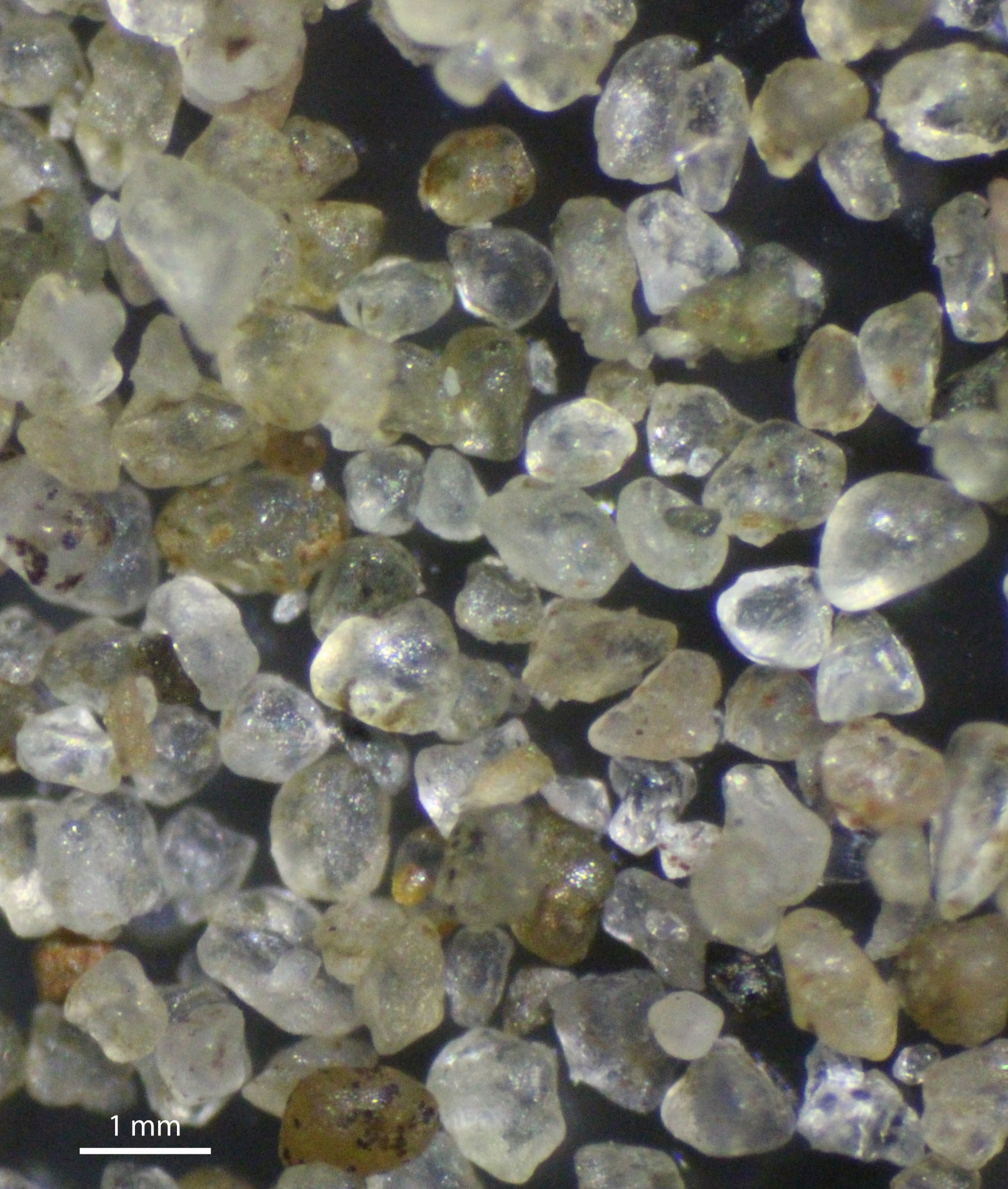 sand grains