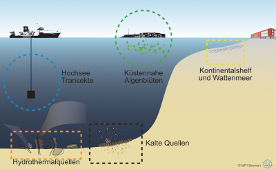 Research Areas of the Molecular Ecology Group Research Areas of the Molecular Ecology Group