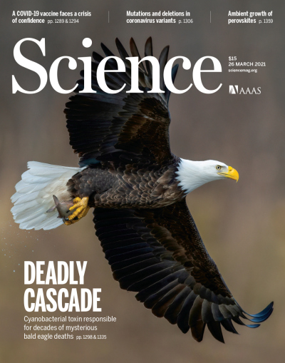 Titelbild der aktuellen Ausgabe von "Science" / (C) AAAS Titelbild der aktuellen Ausgabe von "Science" / (C) AAAS