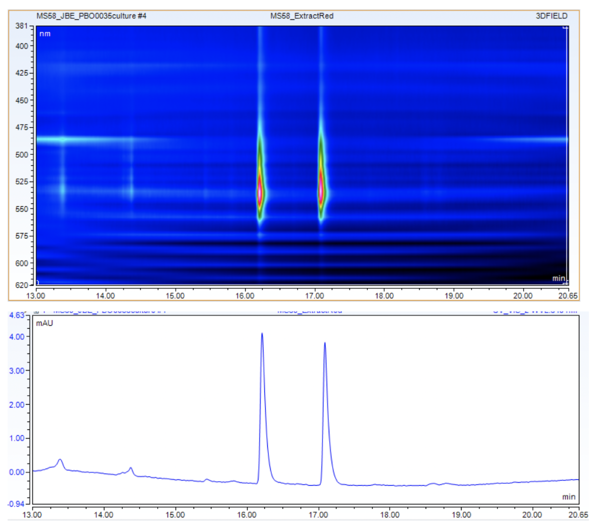 Picture above: UV spectrum of the extracted pigment, two compounds with UV-VIS signal elute from the HPLC column after 16 and 17 minutes.  Picture below: UV trace at 540 nm absorption  (© Max Planck Institute for Marine Microbiology, J. Beckmann)