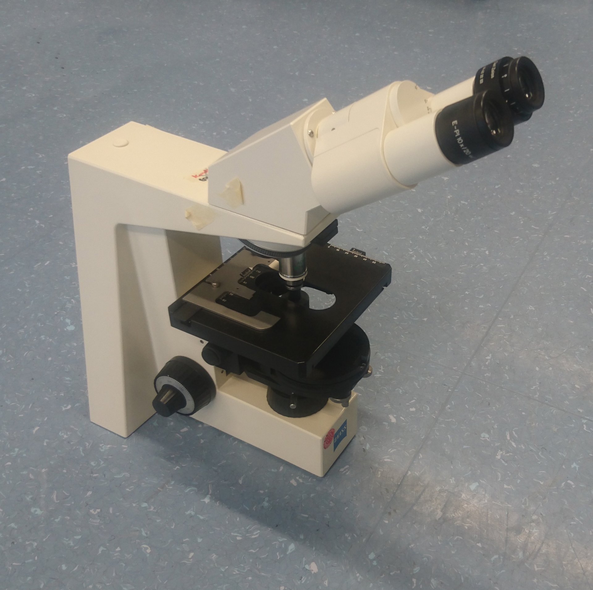 Ein Mikroskop zur Vergrößerung. (© Max-Planck-Institut für Marine Mikrobiologie / F. Aspetsberger)