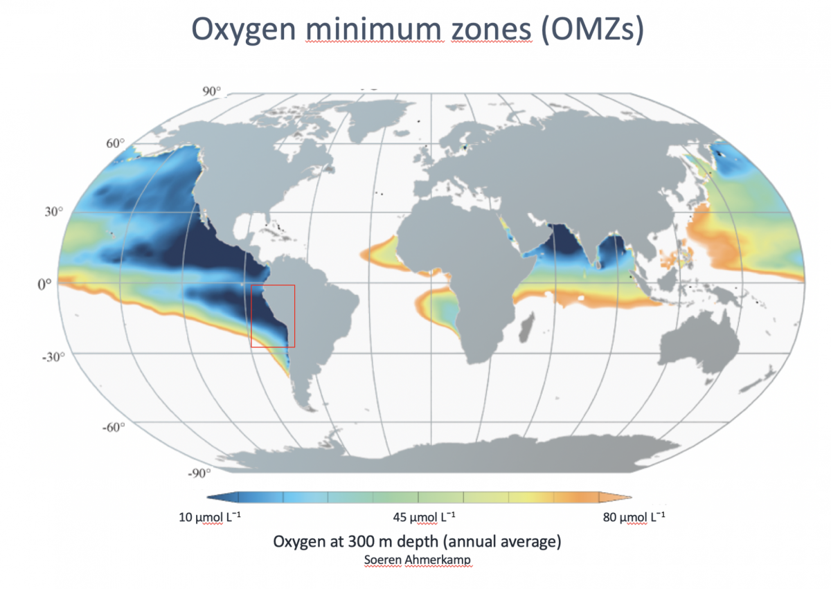 Map with an overview of the oxygen minimum zones. The largest are located offshore Middle and South America, but oxygen depleted areas can also be found in the Baltic Sea. The red box marks the oxygen minimum zone off Peru where samples were collected for this study.  (©Max Planck Institute for Marine Microbiology/S. Ahmerkamp)