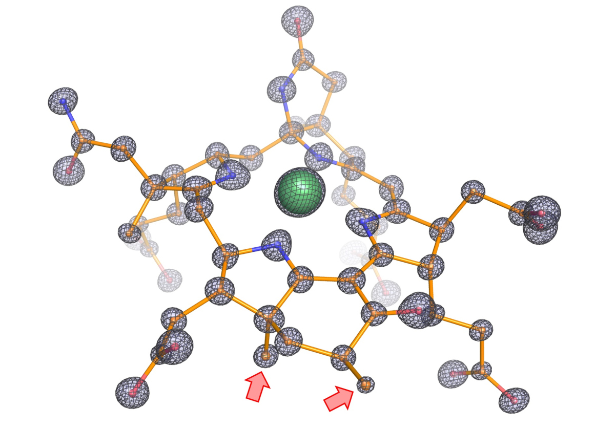 Molekulare Struktur des modifizierten Kofaktors aus dem Enzym.  Die Abbildung zeigt die atomare Zusammensetzung des Kofaktors, wobei Kohlenstoff, Stickstoff, Sauerstoff und Nickel als Kugeln dargestellt und jeweils orange, blau, rot und grün eingefärbt sind. Die Stäbchen stellen die Bindungen zwischen den Atomen dar. Die präzise Lokalisierung jedes einzelnen Atoms war durch die sehr scharfe Elektronendichte möglich (schwarzes Netz). Diese hohe Detailgenauigkeit offenbarte zwei zusätzliche Methylgruppen am Kofaktor, (siehe rote Pfeile). Diese Methylgruppen sind besonders und existieren nicht in Enzymen, die auf Methan spezialisiert sind. (©Max-Planck-Institut für Marine Mikrobiologie, O. Lemaire und T. Wagner)