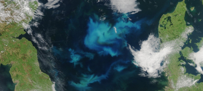 Algal spring blooms Algal spring blooms