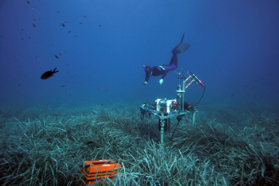 Diver © Hydra Marine Sciences GmbH