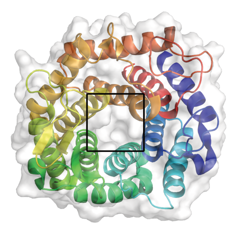 X-ray crystal structure of ShGH76